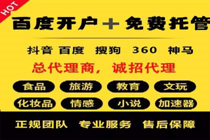 网络推广中的竞价广告：成功案例解析